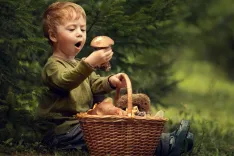 Съедобные грибы: изучаем вместе с детьми