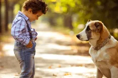 Страх собак: как помочь ребёнку избавиться от него