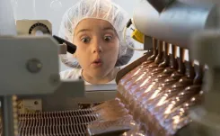 Экскурсии на фабрики в Беларуси: где можно узнать тайны производства и продегустировать новинки?