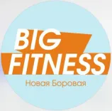 Логотип Big Fitness