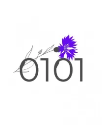 Логотип 0101