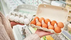 Что означает штамп «С2» или «Д1» на яйце? Почему мелкие яйца часто полезнее отборных