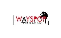 Логотип Wayspop