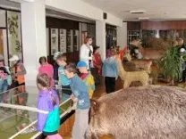 Логотип Галерея "Природа и творчество Республиканский экологический центр детей и юношества"