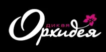 Логотип Дикая орхидея