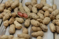 Аллергия сразу на несколько продуктов: у трети детей получилось есть их безопасно