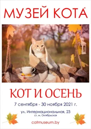 Выставка «Кот и осень»