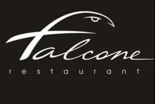 Баннер компании FALCONE
