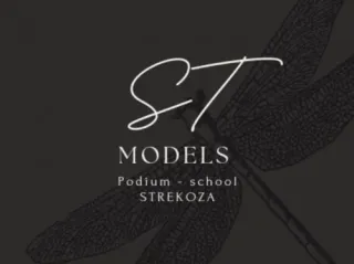 Логотип STREKOZA (MOZYR)