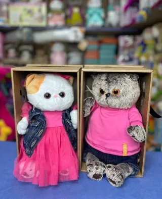 Баннер компании Fizzyland