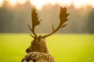 Баннер компании Станьково