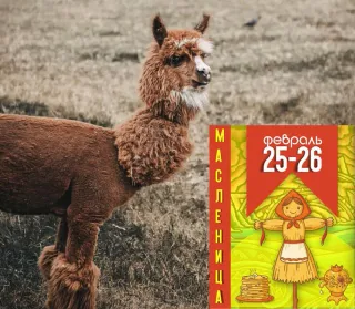 Масленица в Парке Животных "Диприз"