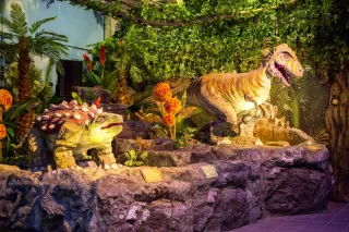 Баннер компании ДИНОЗАВРиЯ