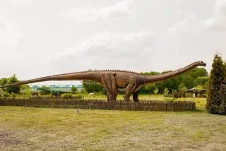 Баннер компании ДиноПарк