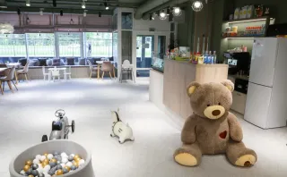 Детский клуб-кофейня «Лютики» - Интерьер - фото 5