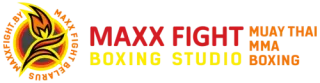 Баннер компании MAXX FIGHT