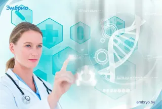 Баннер компании Эмбрио