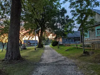 Баннер компании Белые луга