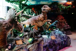 Баннер компании ДИНОЗАВРиЯ