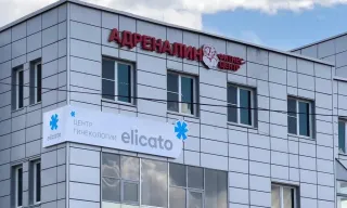 Баннер компании Elicato