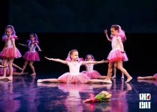 Баннер компании Маугли