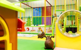 Баннер компании Лес Чудес