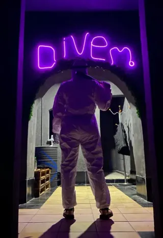 Баннер компании Divem