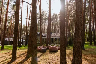 Хлеб&Soul - База отдыха \\"Хлеб&amp;Soul\\" - фото 10