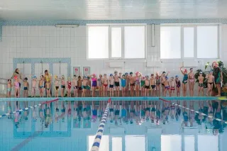 Баннер компании Дельфин