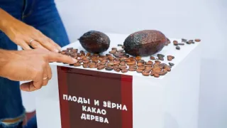 Музей шоколада города Минск - Музей шоколада города Минска - фото 14