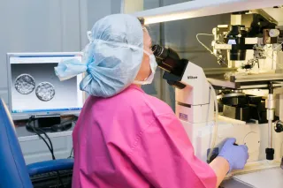 Центр репродуктивной медицины ЭКО - Основная галерея - фото 6