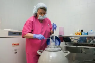 Центр репродуктивной медицины ЭКО - Основная галерея - фото 7