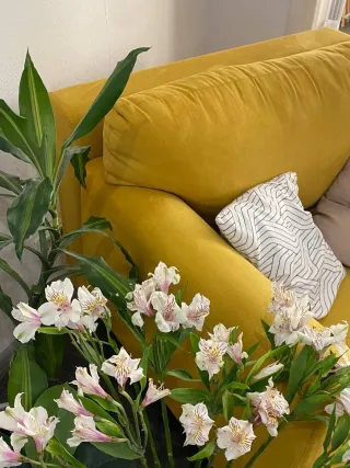 Минский колорит - Арт студия Минский колорит - фото 2