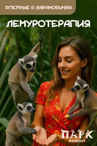 Впервые в Барановичах: "Лемуротерапия" в Парке животных!