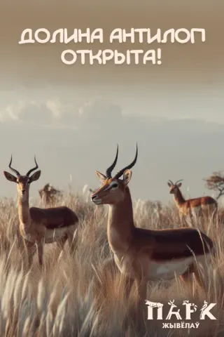 🦌 Добро пожаловать в новую главу Парка Животных — Долину антилоп