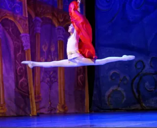 Балетная школа Вежновец - Наши спектакли - фото 4