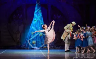 Балетная школа Вежновец - Спектакли - фото 2