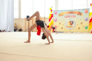 Европейский Центр Гимнастики - Европейский центр гимнастики - фото 9
