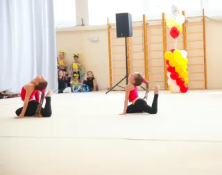 Европейский Центр Гимнастики - Основная галерея - фото 5