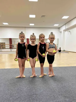 Gym Stars - Гимнастика - фото 2