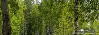 Баннер компании Парк Животных