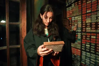 ПИНКЕРТОН - Гарри Поттер: заклятие Хогвартса - фото 5