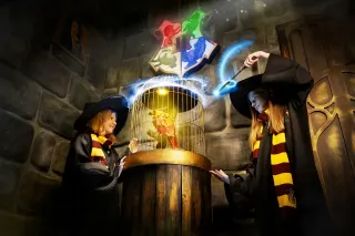 Баннер компании ПИНКЕРТОН