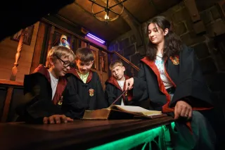 ПИНКЕРТОН - Гарри Поттер: заклятие Хогвартса - фото 4