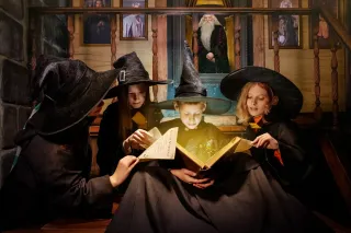 ПИНКЕРТОН - Гарри Поттер: заклятие Хогвартса - фото 8