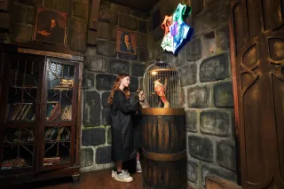 ПИНКЕРТОН - Гарри Поттер: заклятие Хогвартса - фото 3