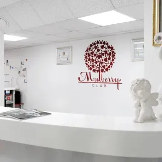 Баннер компании Малберри Клаб