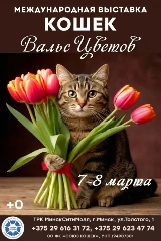 Международная выставка кошек «Вальс цветов»