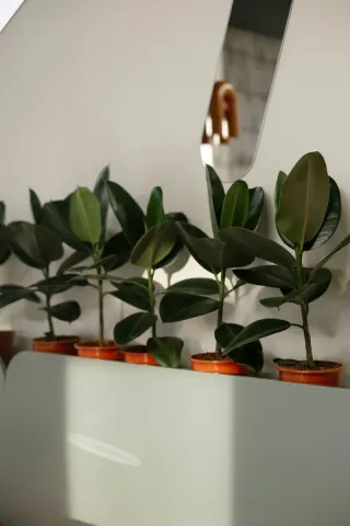 i-Дети - Интерьер - фото 12