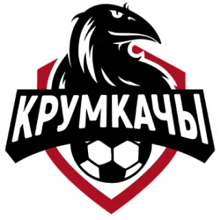 Баннер компании "Крумкачы-KIDS"